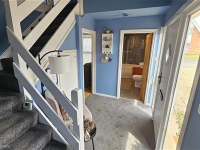 Picture 21